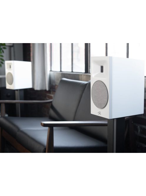 Martin Logan Motion B10