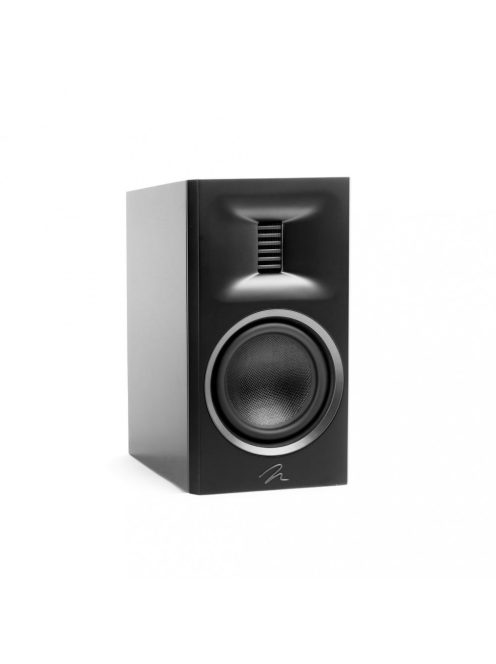 Martin Logan Motion XT B100