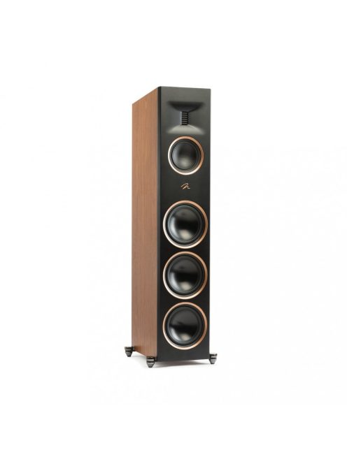 Martin Logan Motion XT F200