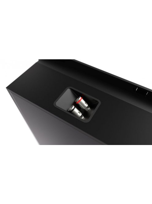 Martin Logan Tribute 5XW