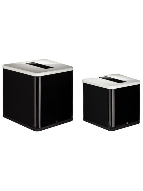 Martin Logan Balanced Force 210