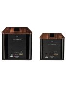 Martin Logan Balanced Force 210