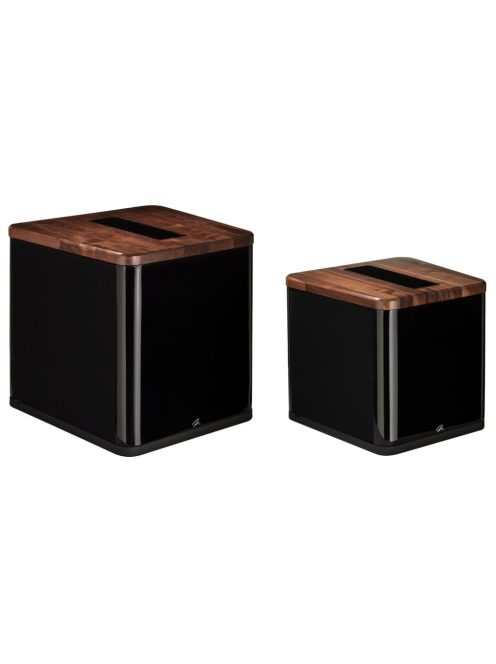 Martin Logan Balanced Force 212