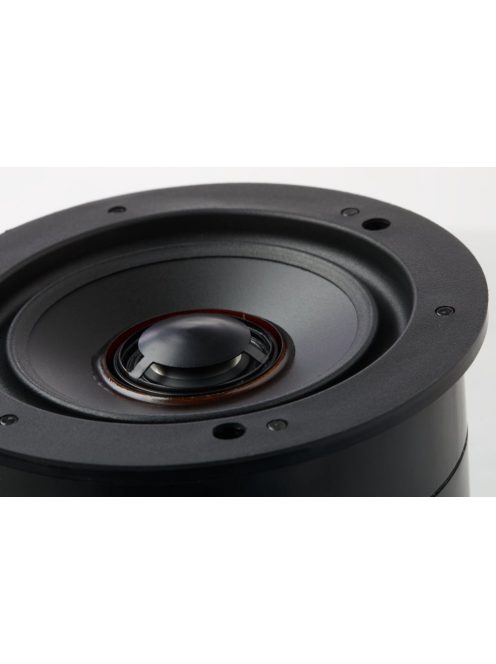 Martin Logan IC3