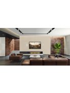 Martin Logan Icon 3XW