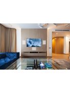 Martin Logan IW5-LCR