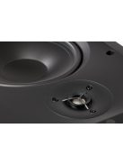 Martin Logan IW6