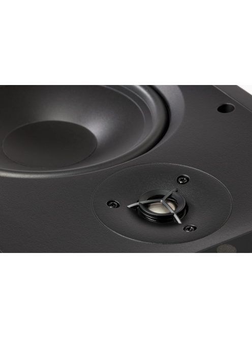 Martin Logan IW6