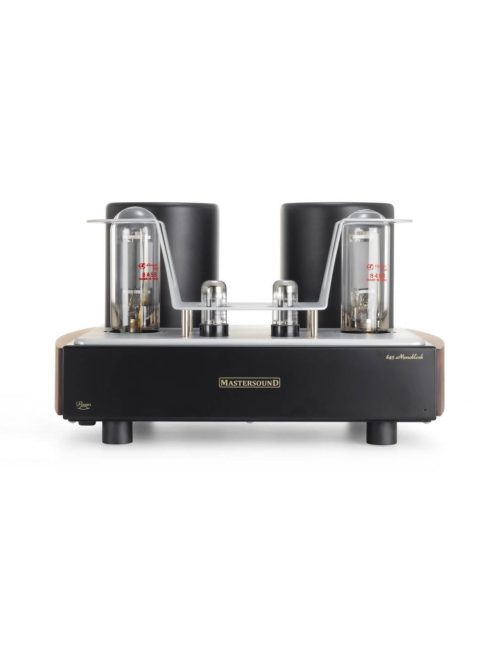 Mastersound Monoblock 845