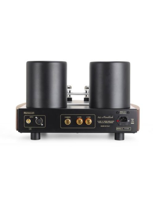 Mastersound Monoblock 845