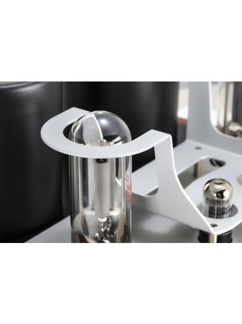 Mastersound Monoblock 845