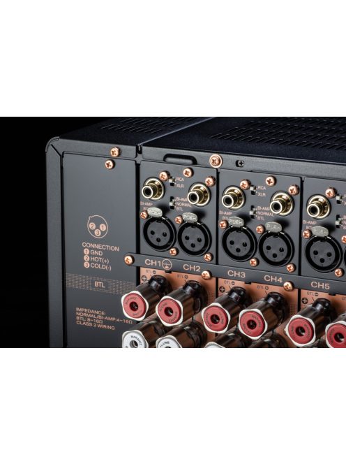 Marantz AMP 20
