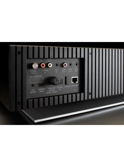 McIntosh RS250