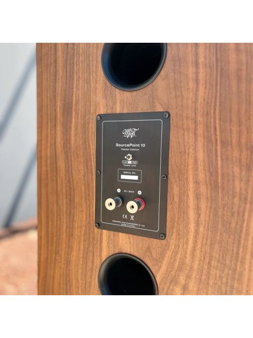 MoFi SourcePoint 10 Master Edition