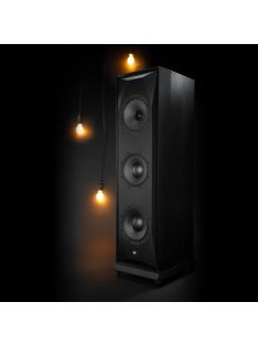 MoFi SourcePoint 888