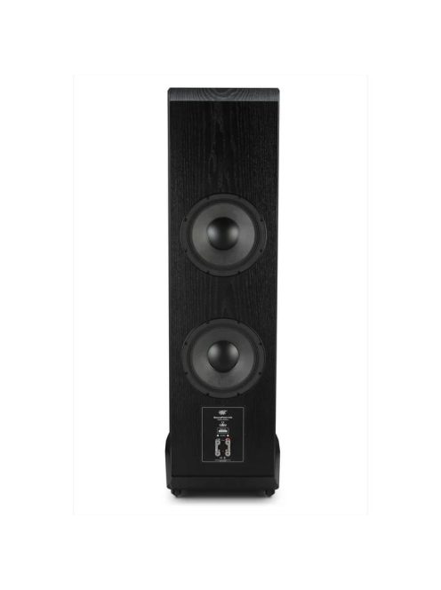 MoFi SourcePoint V10 Master Edition