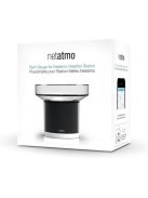 Netatmo Rain Gauge