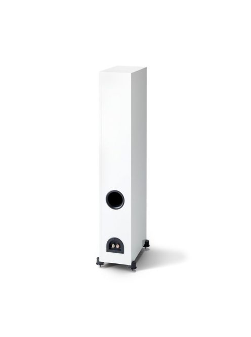 Paradigm Monitor SE 6000F