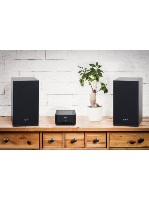 Paradigm Monitor SE Atom