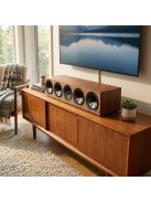 Paradigm Premier V2 620C
