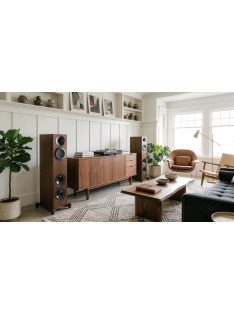 Paradigm Premier V2 720F