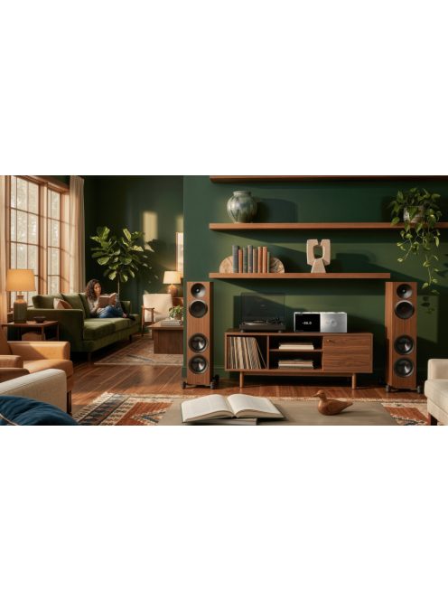 Paradigm Premier V2 720F