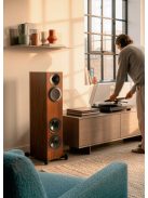 Paradigm Premier V2 720F