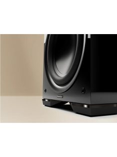 Paradigm Defiance S10