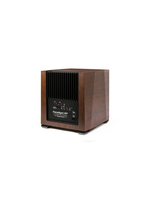 Paradigm XR11