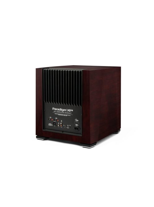 Paradigm XR13