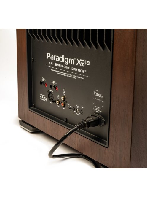 Paradigm XR13