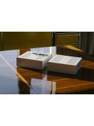 Pro-Ject AmpBox RS2