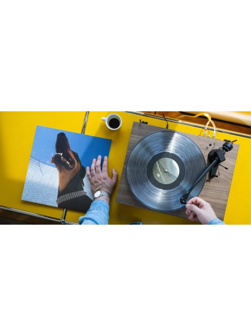 Pro-Ject Debut EVO 2