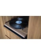Pro-Ject Debut Carbon EVO