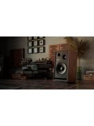 Pylon Audio Jade 30
