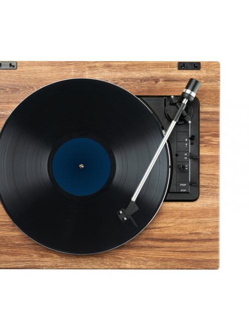 Rekkord Audio F300