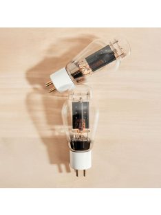 Ray Tubes Select 2A3