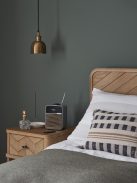 Ruark R1s