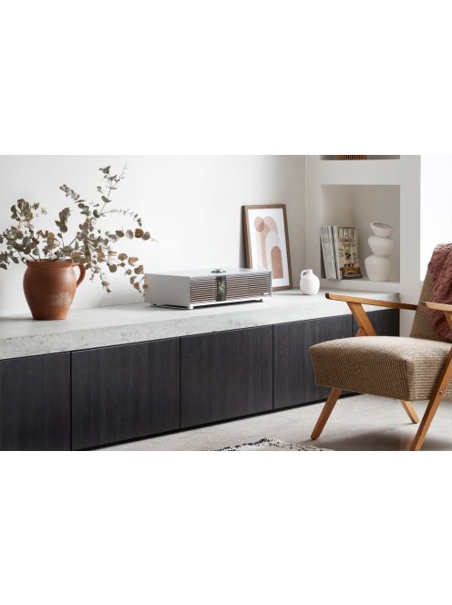 Ruark R410