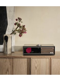 Ruark R710