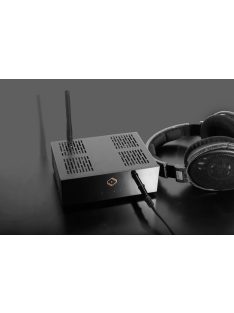 Silent Angel Bremen B1