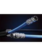 Siltech Royal Single Crown IC
