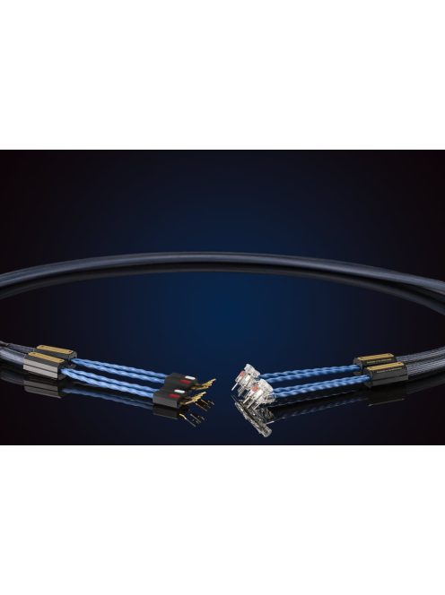Siltech Royal Single Crown Speak