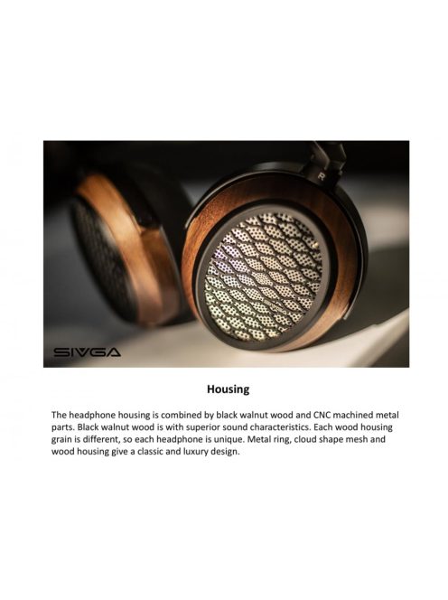 Sivga Audio P-II