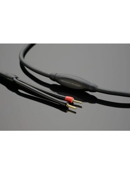 Transparent MusicWave