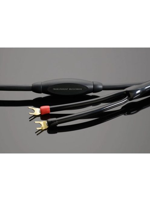 Transparent MusicWave