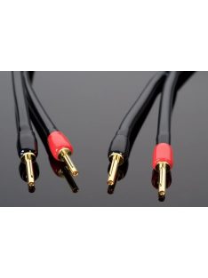 Transparent The Wave