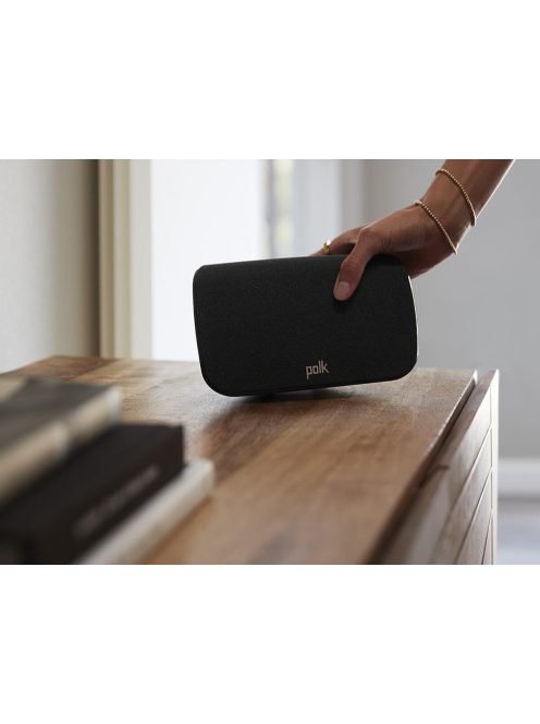 Polk Audio Max AX SR