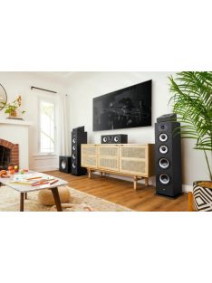 Polk Audio Monitor XT70