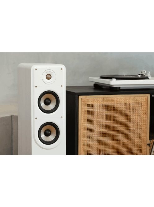 Polk Audio Signature Elite ES55